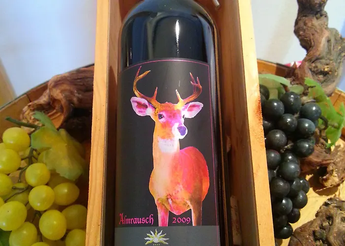 Alpenhotel Stefanie Hotel Hippach