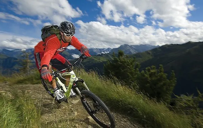 Alpenhotel Stefanie מלון