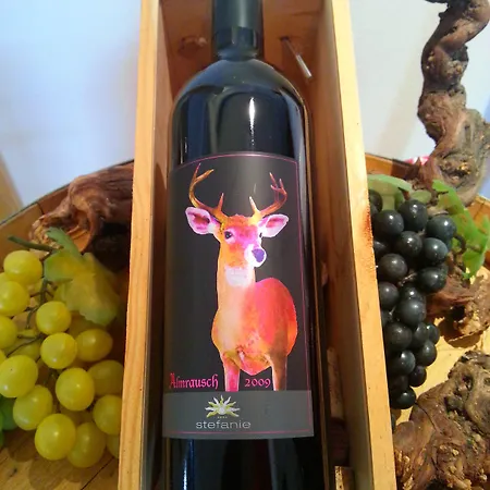 Alpenhotel Stefanie ホテル ヒパッハ