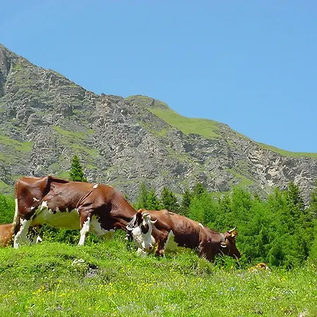 Alpenhotel Stefanie Hippach